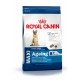 ROYAL CANIN MAXI ADULTO 8+ 15 KG AGEING