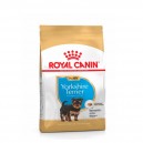ROYAL CANIN YORKSHIRE TERRIER PUPPY 2.5 KG