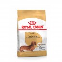 ROYAL CANIN DACHSHUND 2.5 KG