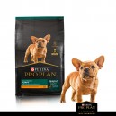 PROPLAN PUPPY RAZA PEQUEÑA 1 KG