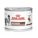 ROYAL CANIN LATAS VET DIET RECOVERY FELINE - CANINE 165GR