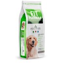 FIT FORMULA ADULTO 20 KG