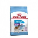 ROYAL CANIN GIANT JUNIOR 15 KG