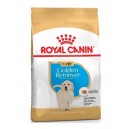 ROYAL CANIN GOLDEN RETRIEVER PUPPY 12 KG